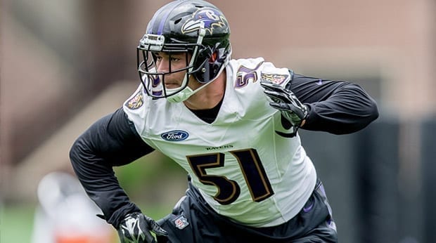 Development of Second Year Ravens…