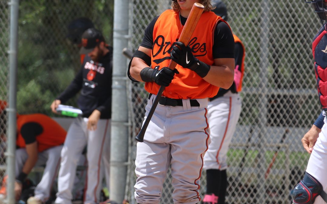 Orioles 2023 Minor-League Roster Previews: Aberdeen and Delmarva